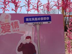 -北京凤凰岭