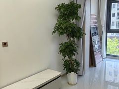 -新爱华装饰