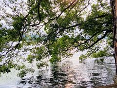 -东湖落雁景区