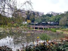 -光明港公园