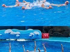 -海合安成都极地海洋公园