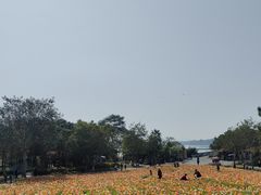 -厦门园林博览苑
