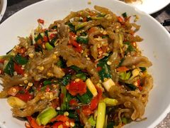 鸭掌筋-壹盏灯(惠农店)