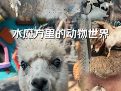 -欢乐水魔方水世界