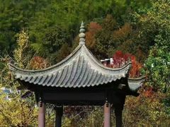 -黄山悦榕庄明月白云餐厅