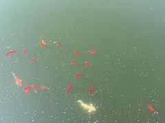 -北京凤凰岭