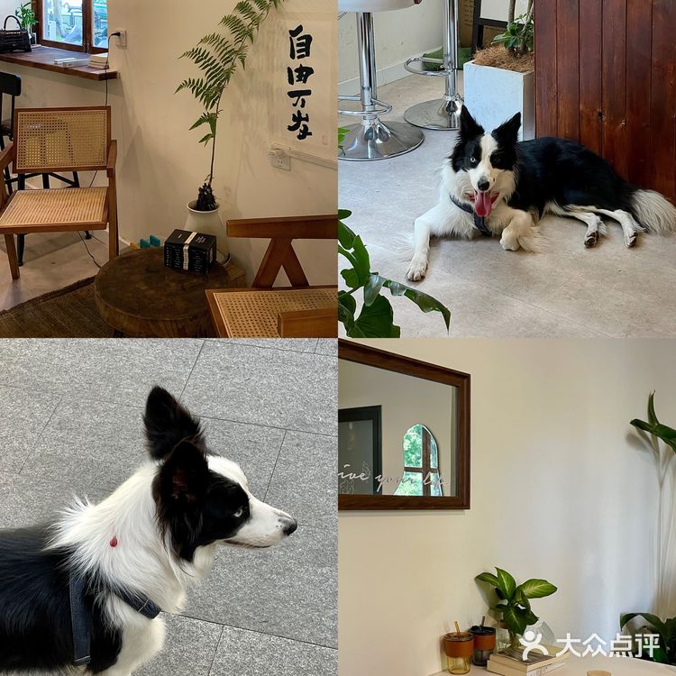 郑州宝藏沿街ins咖啡店☕️幸福感满满‼️