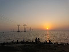 -宝安西湾红树林湿地公园