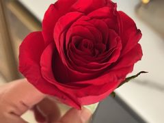 -遇见未来早教·托育中心(玛斯兰德旗舰店)