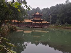 -铁山坪森林公园