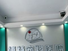 -博特宠物医院24h犬猫全科.骨科·异宠