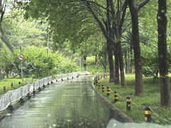 -望湖公园