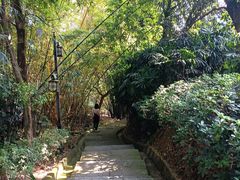 -大屏嶂森林公园