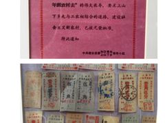 -张博士茗茶馆(外滩店)