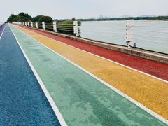 -贡湖湾湿地公园