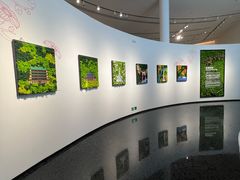 -云溪植物园