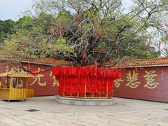-广州莲花山旅游区