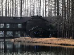 -黄海国家森林公园