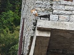 -高荡千年布依古寨旅游景区