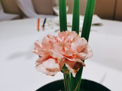 -小厨娘淮扬菜(清江苏宁广场店)