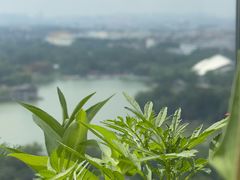 -漪龙台·B26 Rooftop Lounge