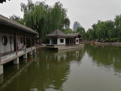 -团结湖公园