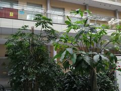 -黑龙江省第二医院(南岗院区)