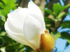 -云溪植物园