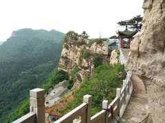 -大芦花风景区