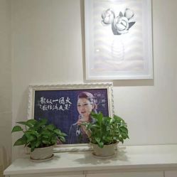 点击看大图 -SILKTONE诗丽堂美容