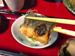 -料亭菊水楼