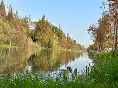 -洋湖国家湿地公园