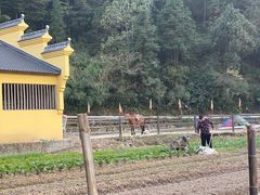 -秦皇古道马场