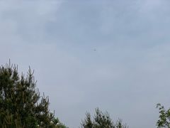 -门城湖公园