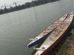 -羊山湖公园