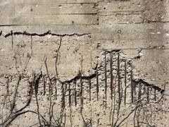 -半岛1919创意园区