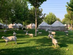 -九十九顶毡房(阜石路店)