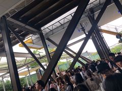 -飞天翼龙