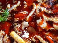 -蜀滋香鲜鱼美蛙火锅(339店)