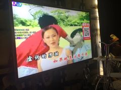 -宝岛甲壳虫KTV(蓝天路店)