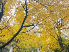 -四川大学(华西校区)