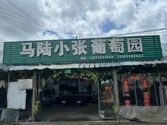 -马陆小张葡萄园农家乐