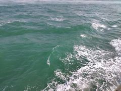 -中环4号渡轮码头