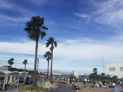 -碧海金沙