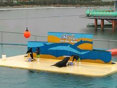 -秦皇岛乐岛海洋王国