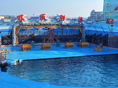-海合安青岛极地海洋公园