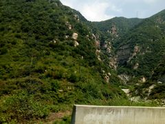 -王顺山国家森林公园