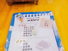 -吉丁鸟咖·异宠·寄养