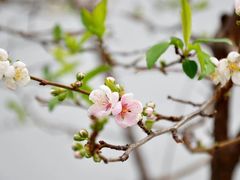 -青岛中山公园-索道售票处