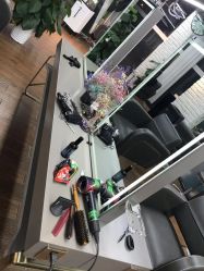 -尚丹尼造型